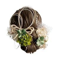 Amazon.co.jp: Lomeri ロメリ【11色展開】髪飾り 水引 金箔 ドライ